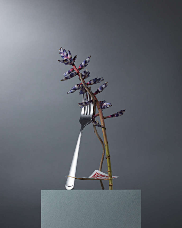 Elodie Farge • Totem • 08