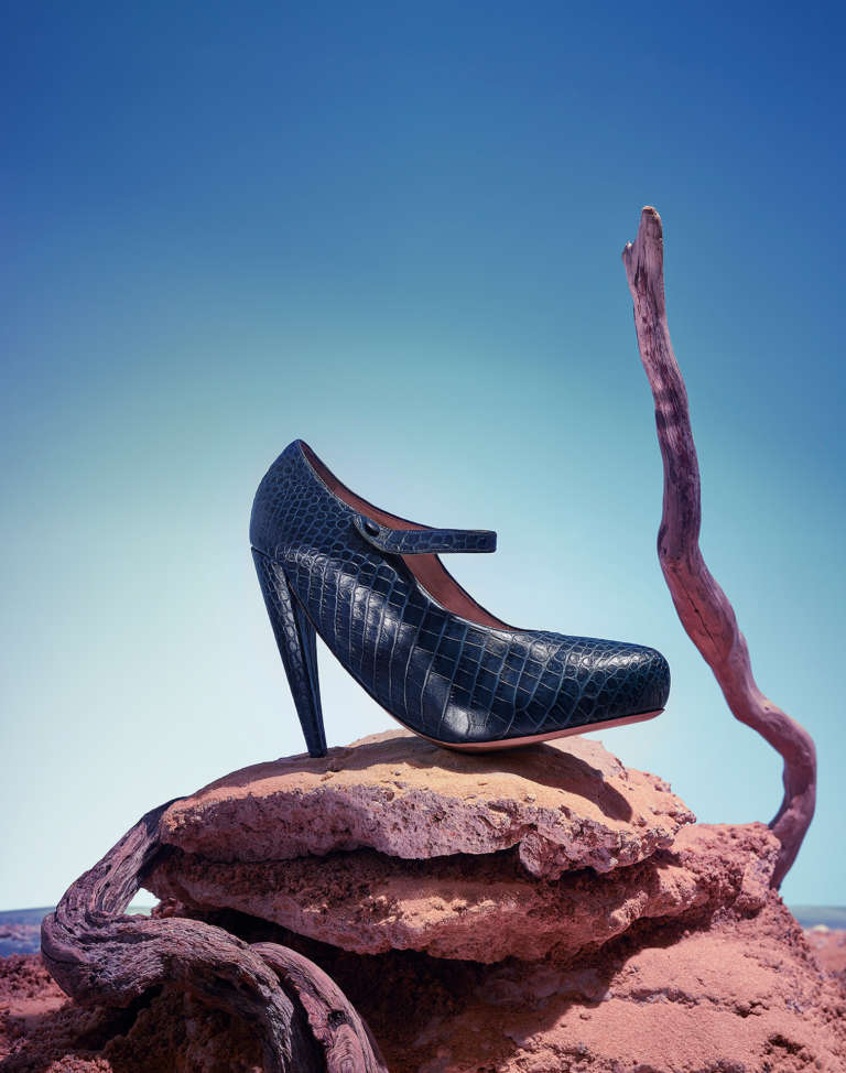 Bara Prochazkova • French Desert • 06