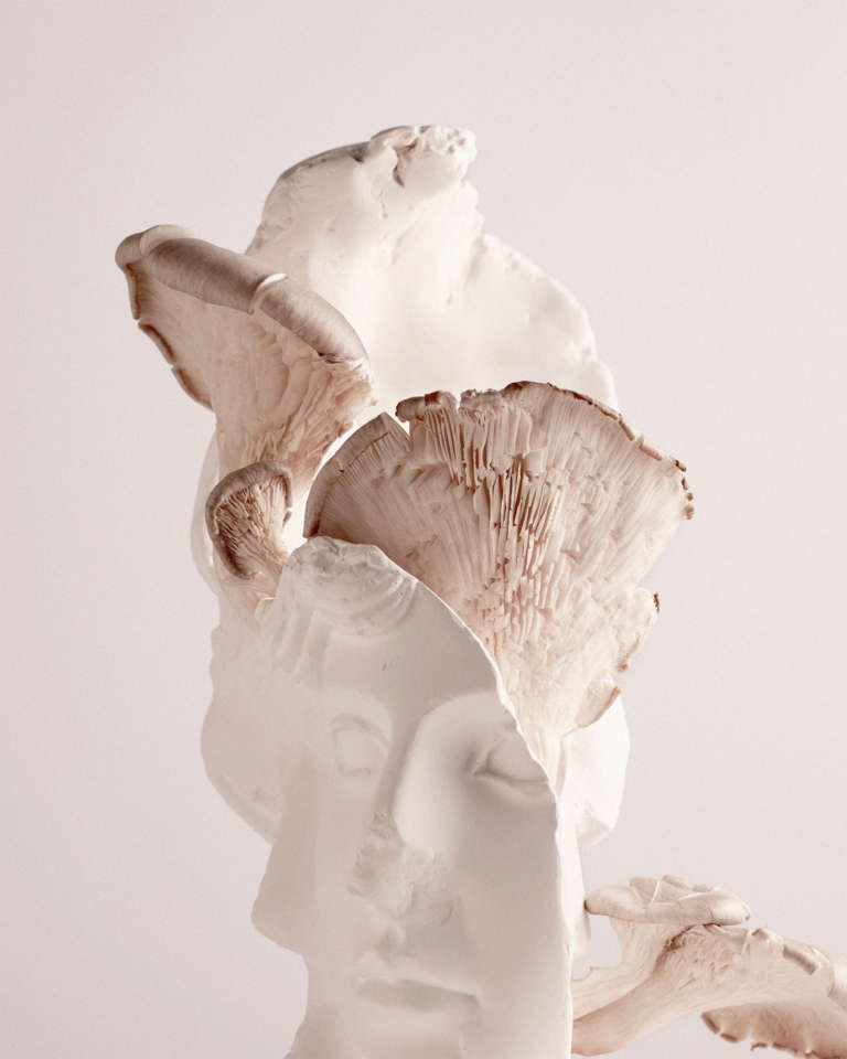 Elodie Farge • Scentury • 08