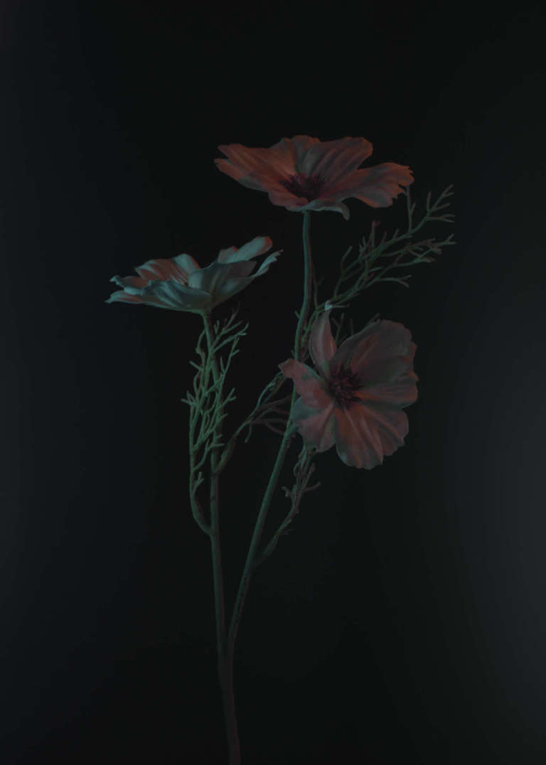 Elodie Farge • Lumiere Noire • 02