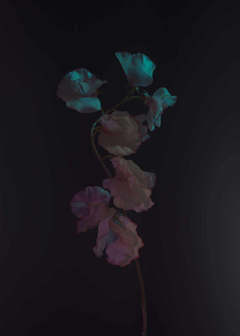 Elodie Farge • Lumiere Noire • 03