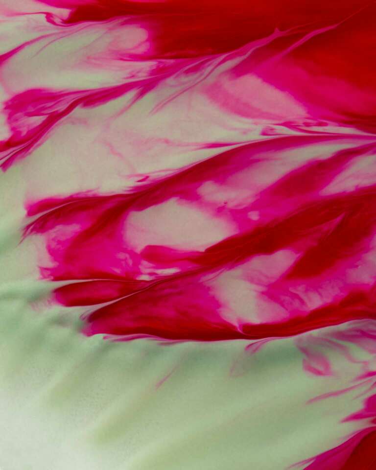 TEXTURED_ALICE_PACHER_PAULINE_FURMAN_2022_11