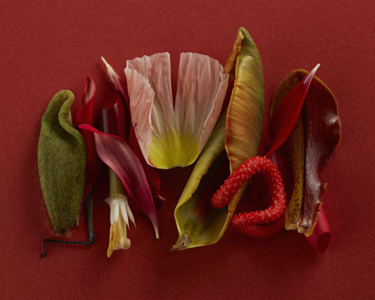 EF • Texture(s)s • Lise Dupont