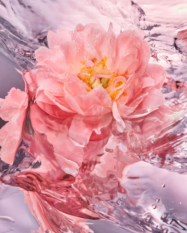 Elodie Farge • Fraicheur • 04