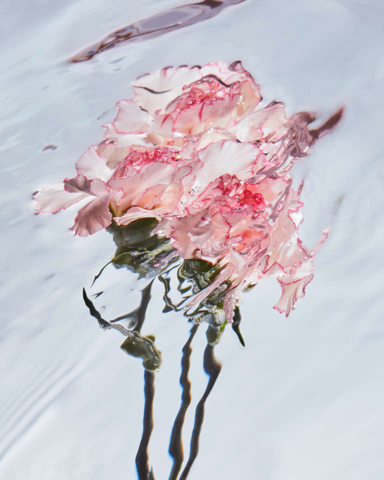Elodie Farge • Fraicheur • 08
