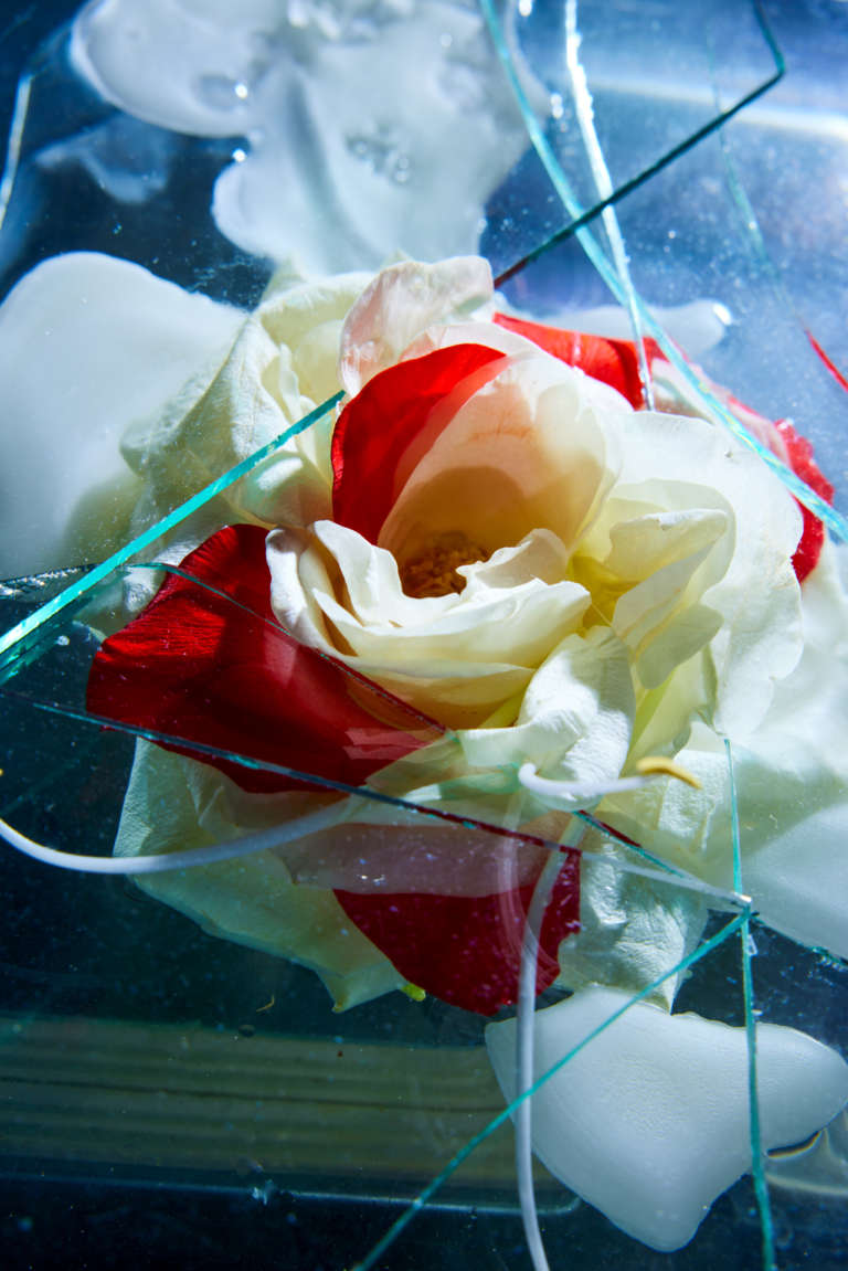Victor Labarthe D'Arnoux • Shard Blossom • 04